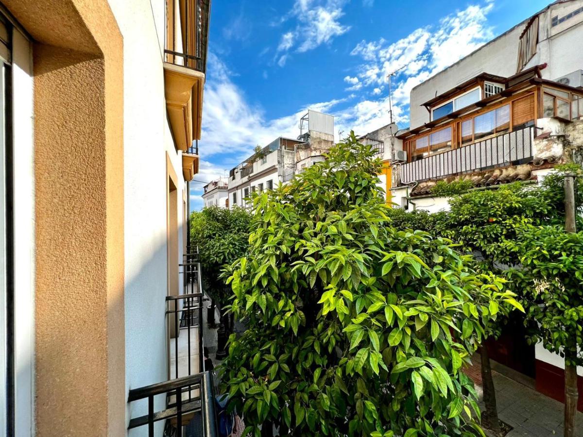 San Fernando De La Ribera Apartment Kordoba Bagian luar foto